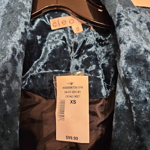 Velvet One-Button Blazer - Picture 5 of 5